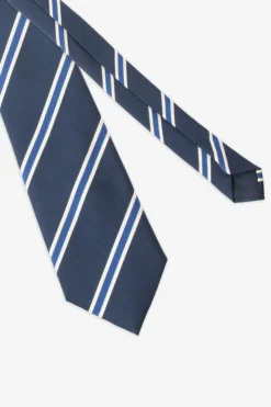 Avion blue regimental tie