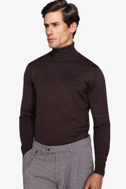 Brown basic turtleneck
