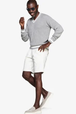 DNJ Gray V-neck sweater