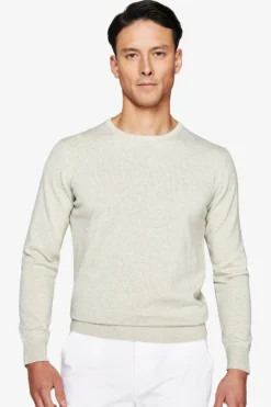 Gray crewneck sweater
