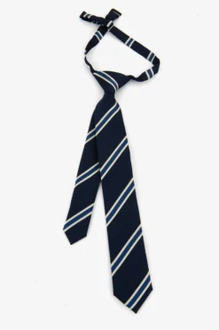 KIDS Blue striped tie
